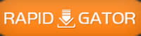 rapidgator.net